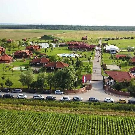 Villa Krasograd Pisarovina Esterno foto